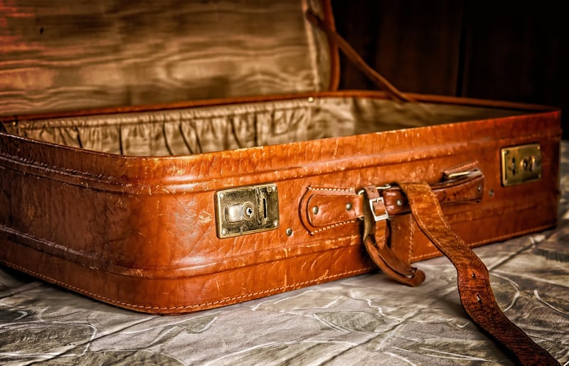 Luxury Travel Luggage